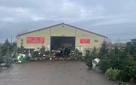 Weihnachtsbaum in K&ouml;ln, Br&uuml;hl oder H&uuml;rth